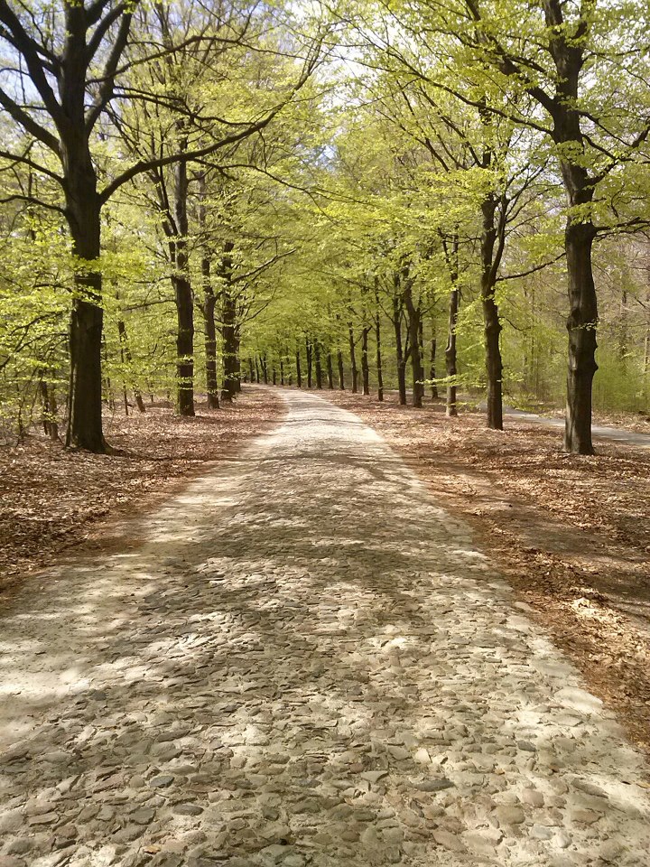 naast het fietspad lag meerdere keren een mooie stenenweg voor Bram